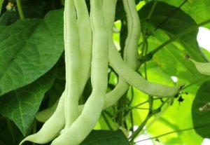 讲述一下食堂承包用餐的方式及技巧