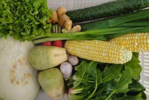 选择幼儿园蔬菜配送公司的标准及要求