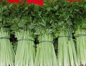 想知道夏天蔬菜该如何正确存放吗